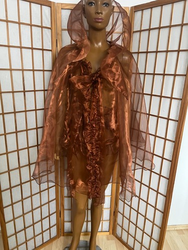 Vintage transparent negligee - vintage,